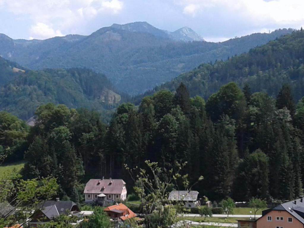 Příroda nedaleko apartmánu