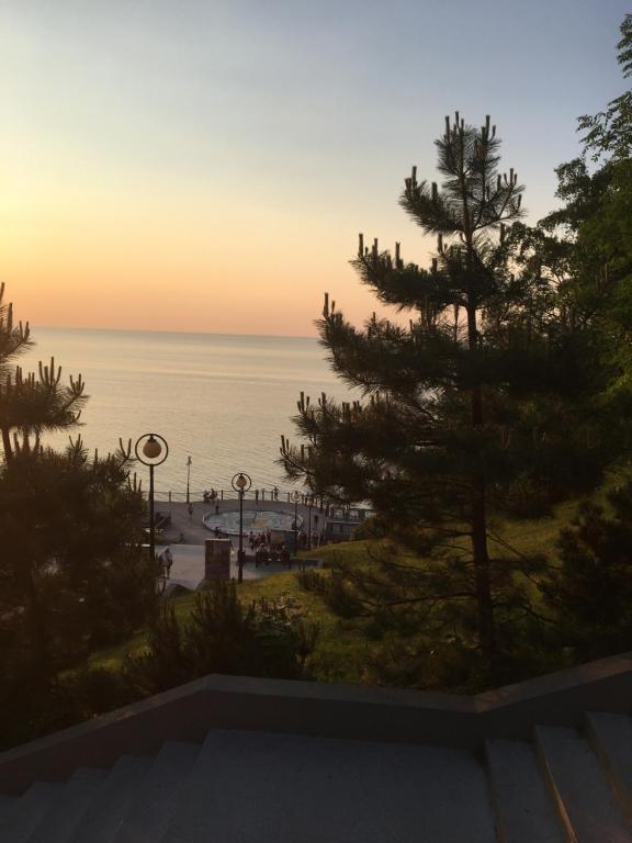 スヴェトロゴルスクにあるMelaniの松の木と夕日のビーチの景色