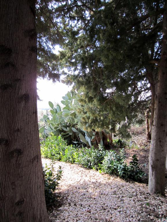 Fotografia z galérie ubytovania Candalù - Villa Giardinata v destinácii Valderice