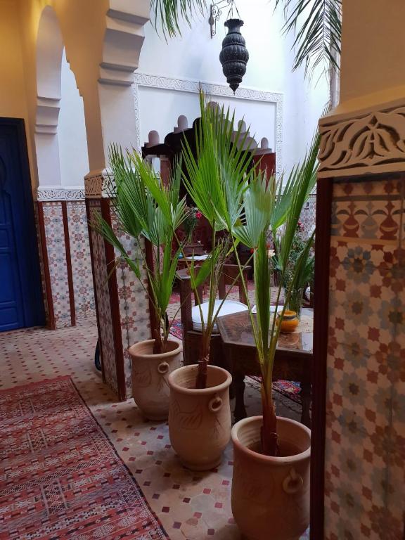 Fotografie z fotogalerie ubytování Riad Dar Colline v Marrákéši