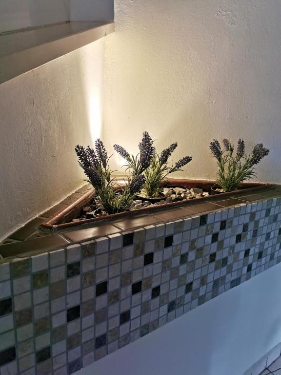 Prince Residence Apartments - Resim 40