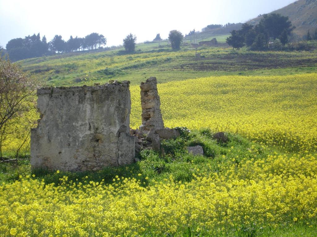 Fotografia z galérie ubytovania Candalù - Villa Giardinata v destinácii Valderice