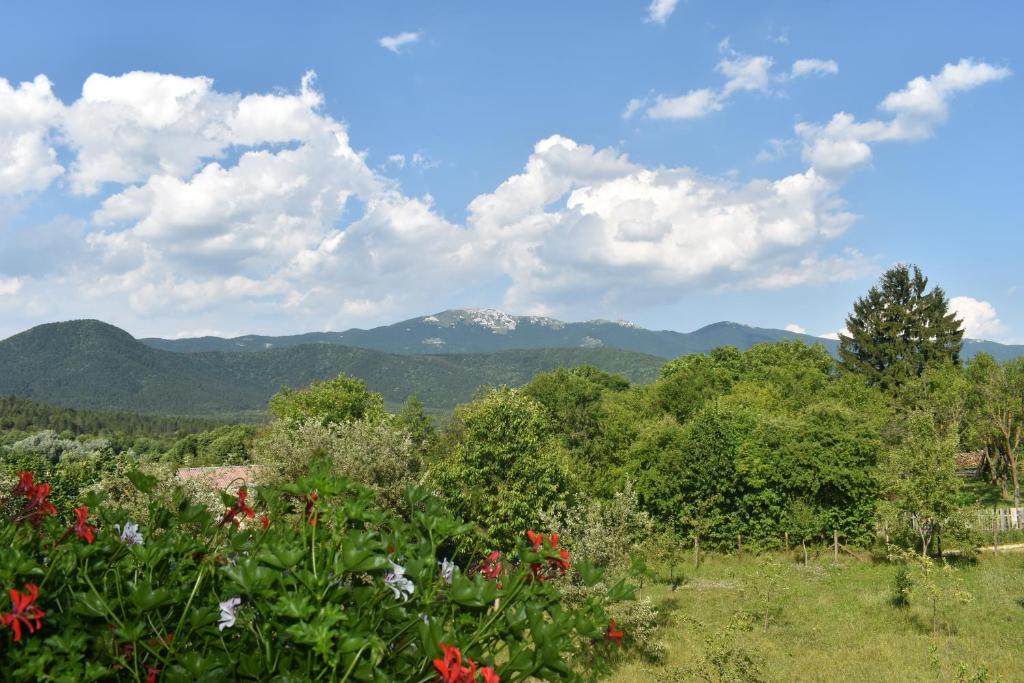 Príroda v okolí penziónu