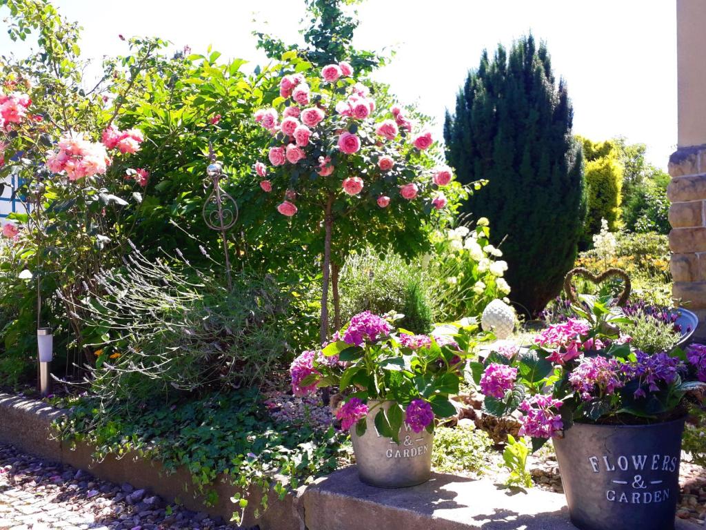 a garden with pink and purple flowers in buckets at VILLA FREIA Dresden - Exklusive Ferienwohnung zum Erholen & Entspannen in Dresden
