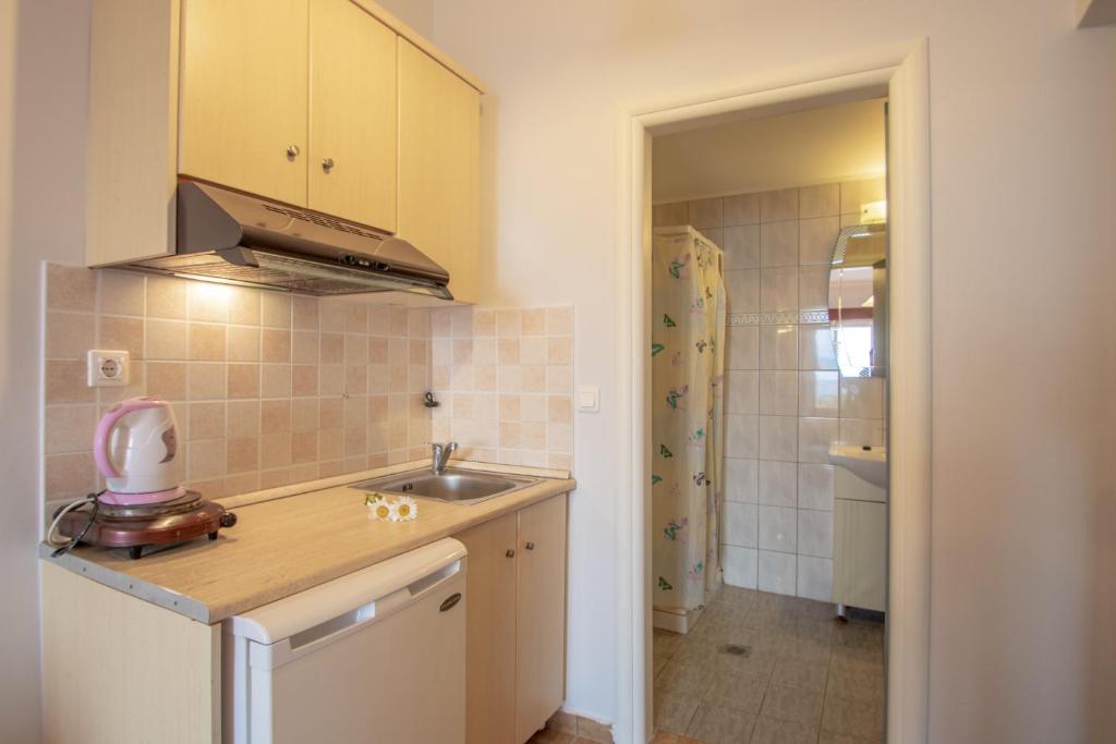 Kuchyň nebo kuchyňský kout v ubytování Agoulos Beach Hotel