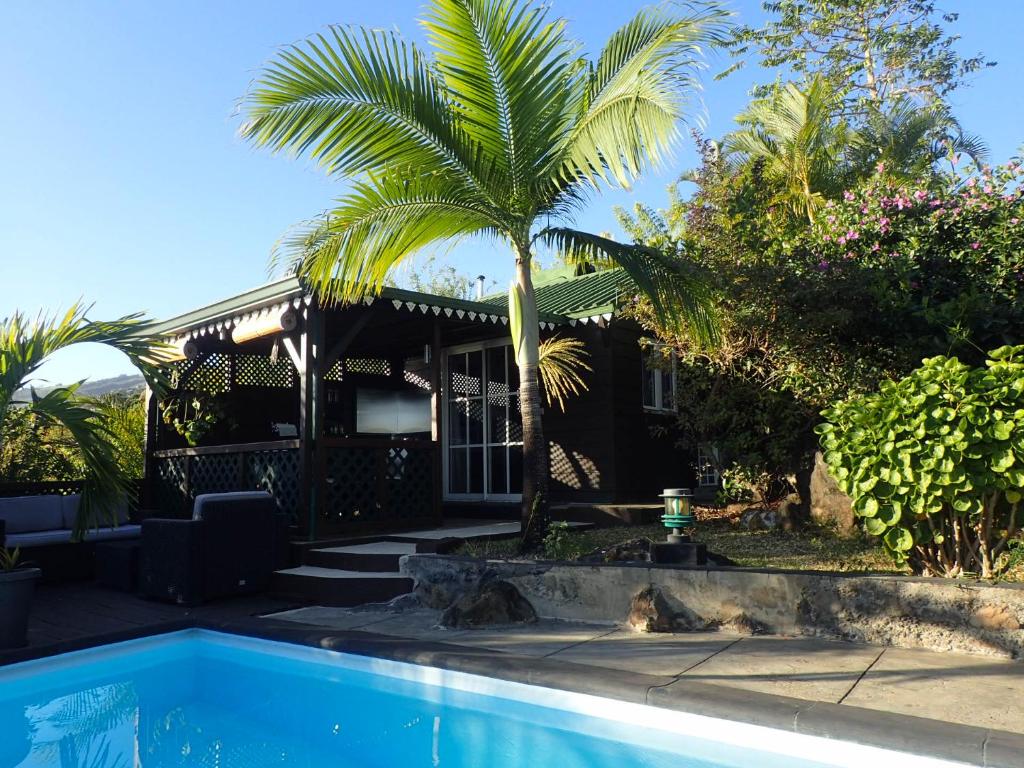 a house with a palm tree and a swimming pool at cabane ti tang in Saint-Leu