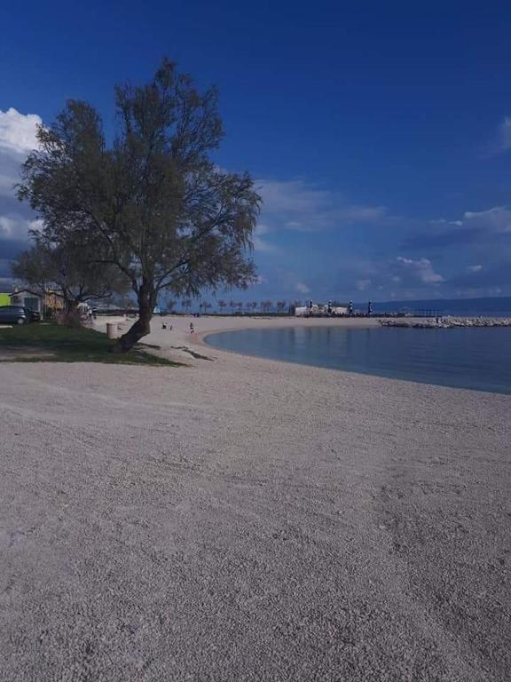 Příroda nedaleko apartmánu