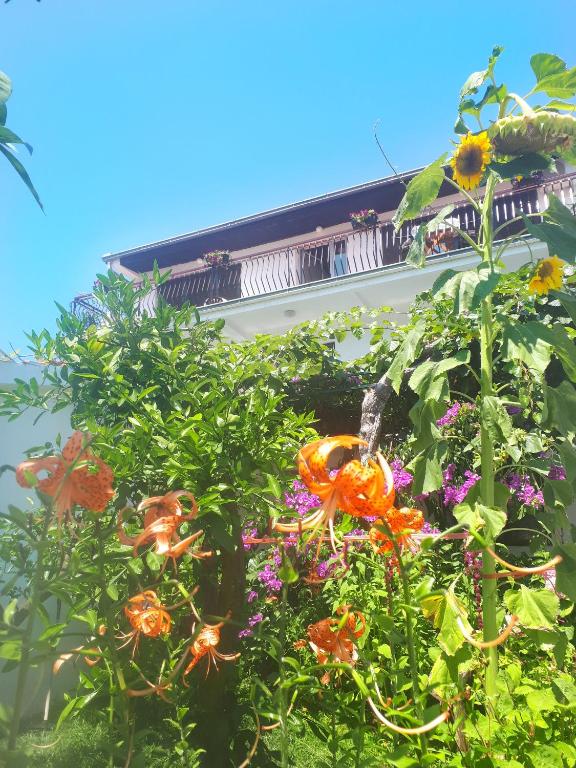 a bunch of flowers in front of a building at Guesthouse DONA in Ulcinj