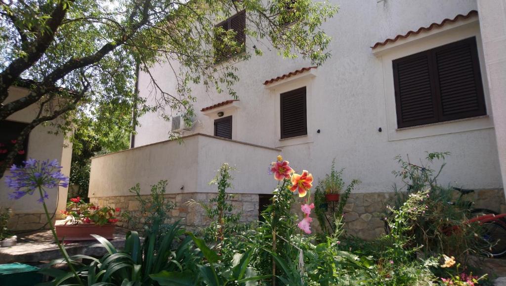 Zahrada ubytování Apartman Dino
