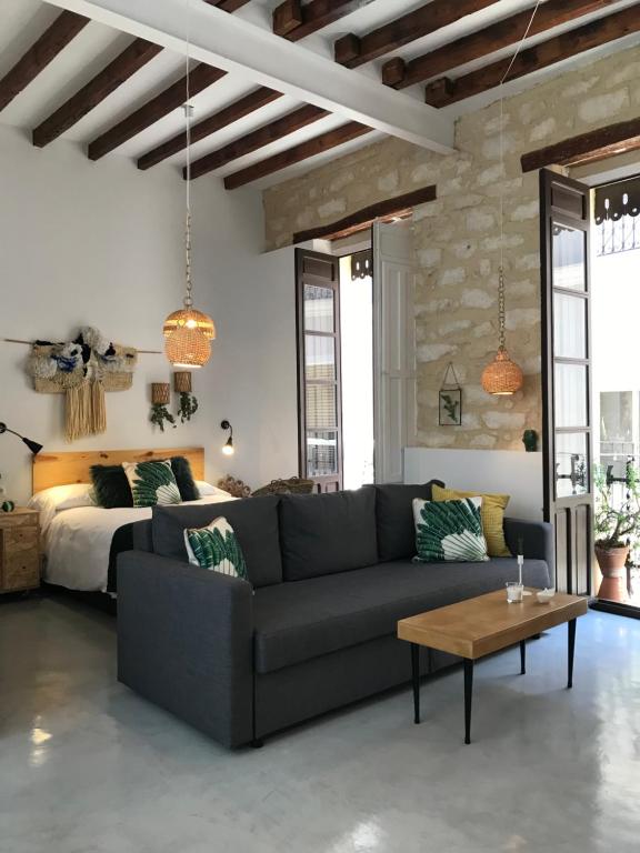 Apartamentos Boutique Villavieja - 