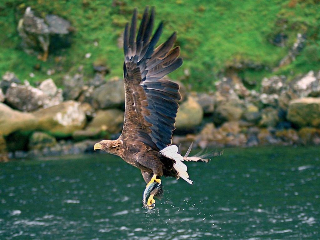 Killarney Towers Hotel & Leisure Centre - Resim 32