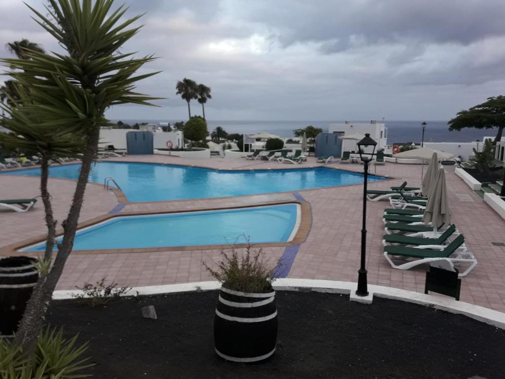 a swimming pool with lounge chairs and a palm tree at Apartamentos Carlota in Puerto del Carmen