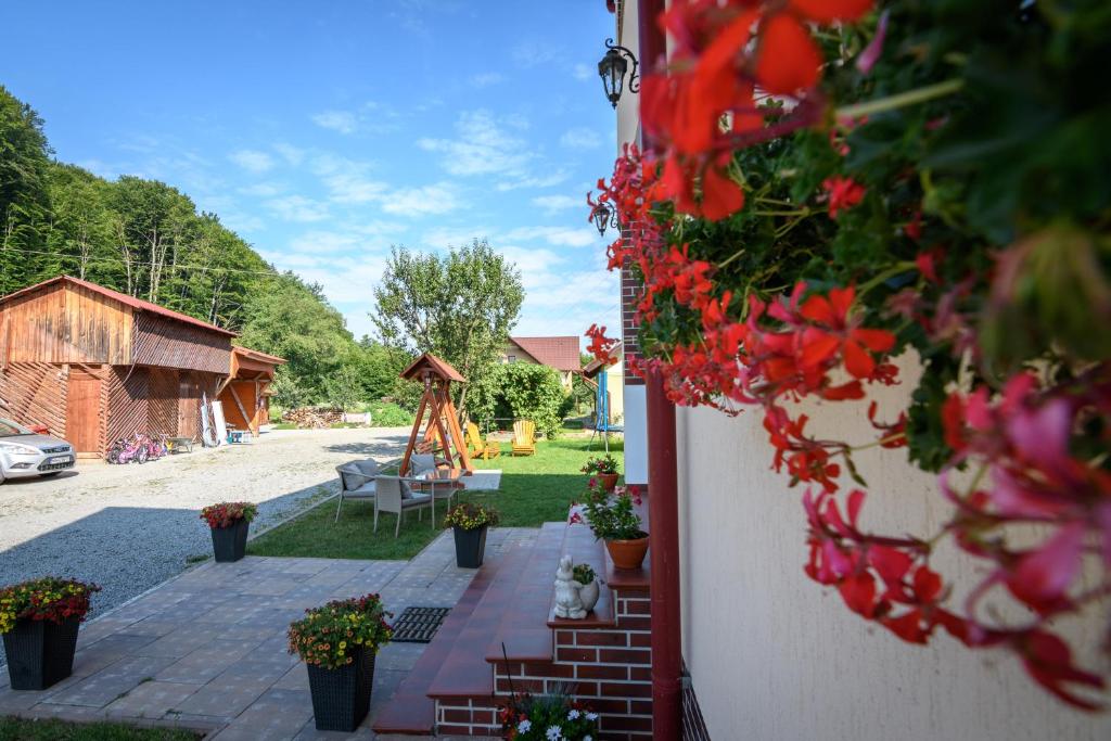 Zahrada ubytování Casa Moldovan