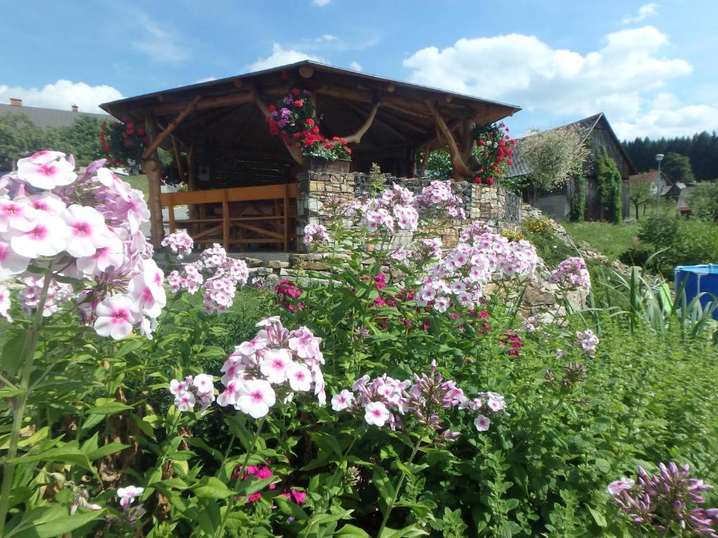 Zahrada ubytování Apartments Večerník Rokytnice