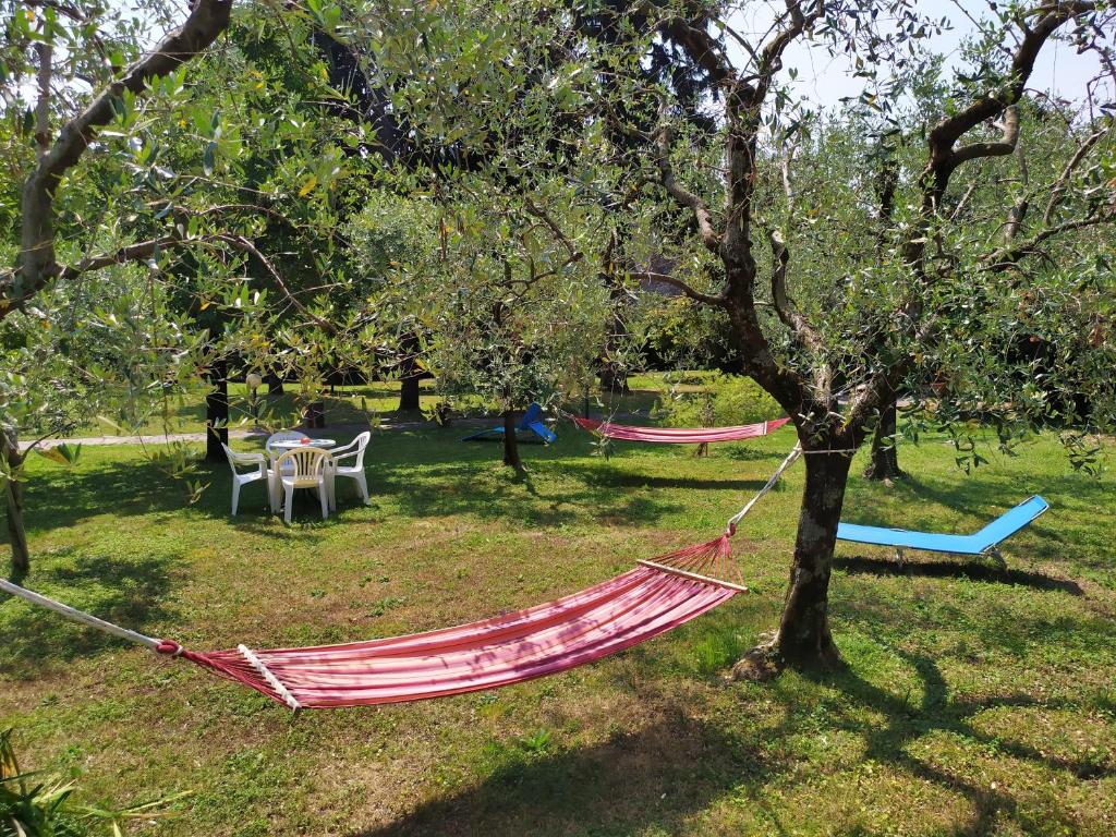 un hamac suspendu à un arbre dans un parc dans l'établissement Ostello delle cartiere, à Toscolano Maderno