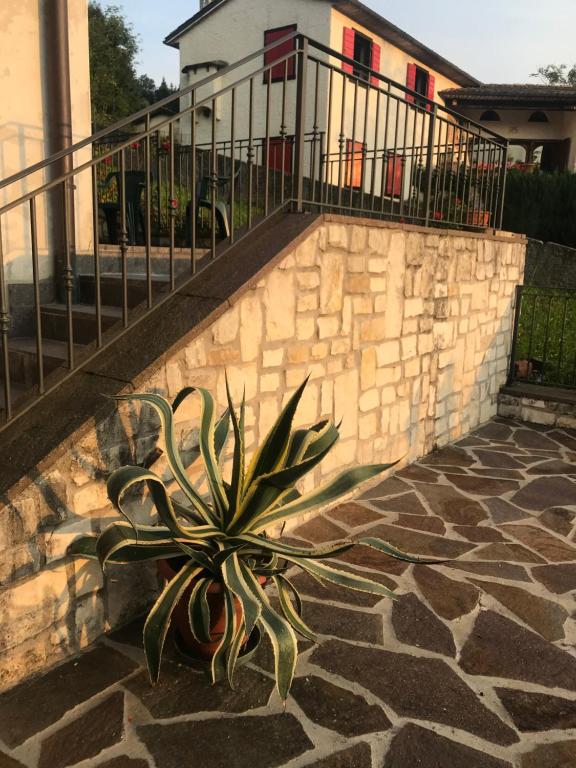 Fotografie z fotogalerie ubytování Puffele b&b v destinaci Enego