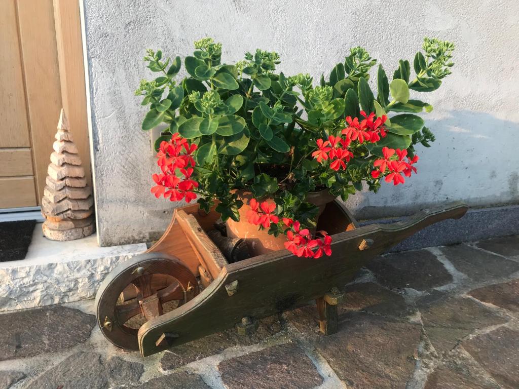 Zahrada ubytování Puffele b&b