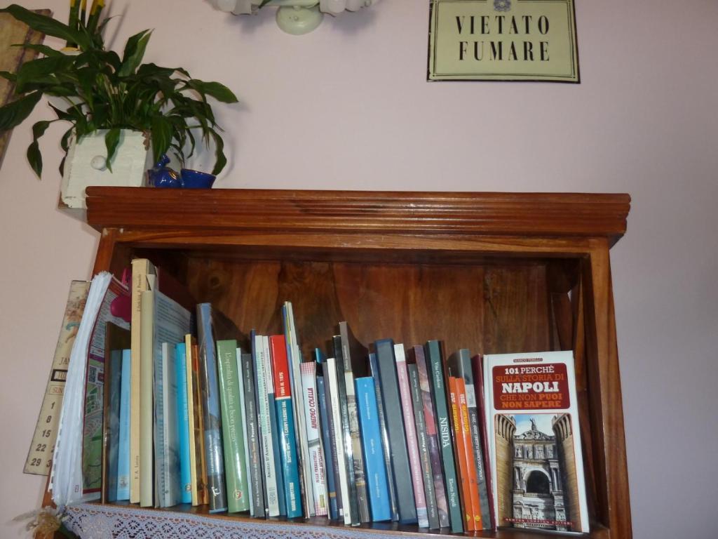 Knihovna v bed and breakfast