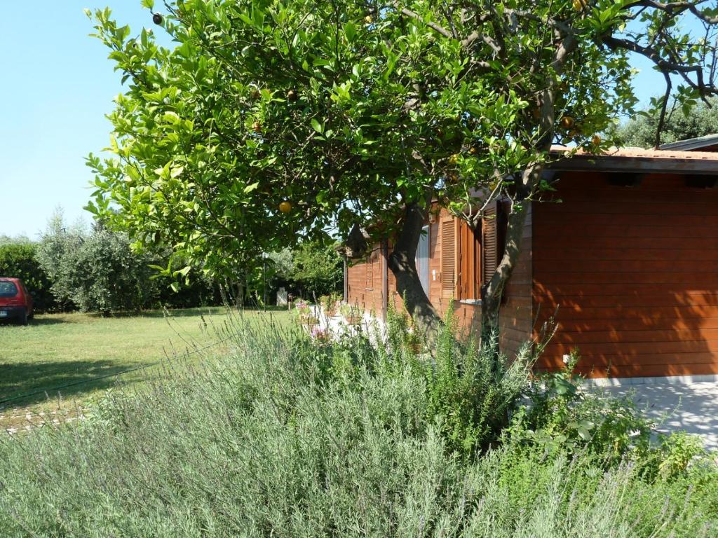 Zahrada ubytování 'O Chalet