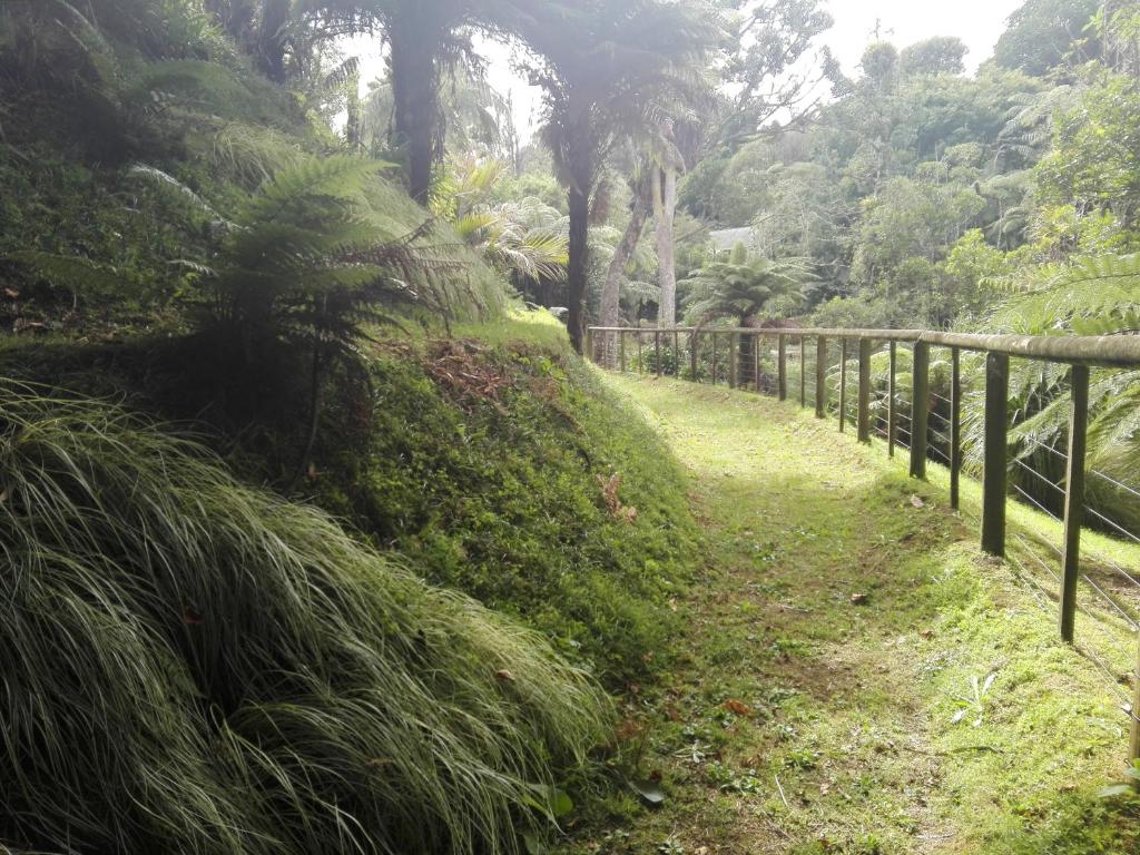 Taranaki Experience - Resim 19