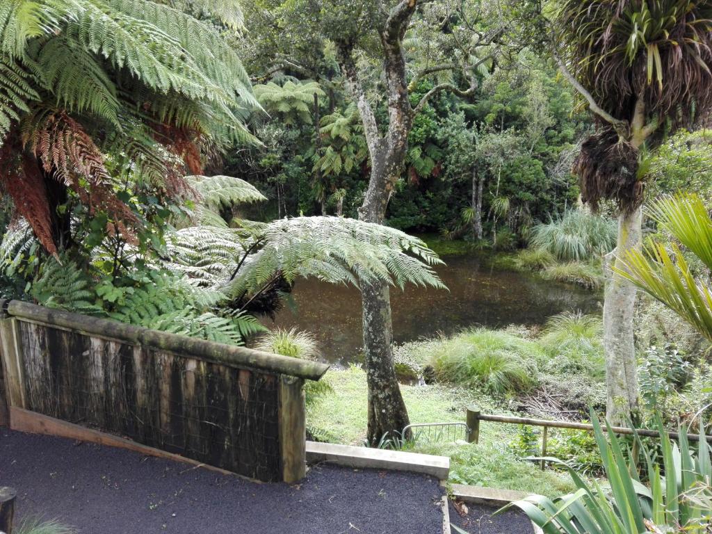 Zahrada ubytování Taranaki Experience