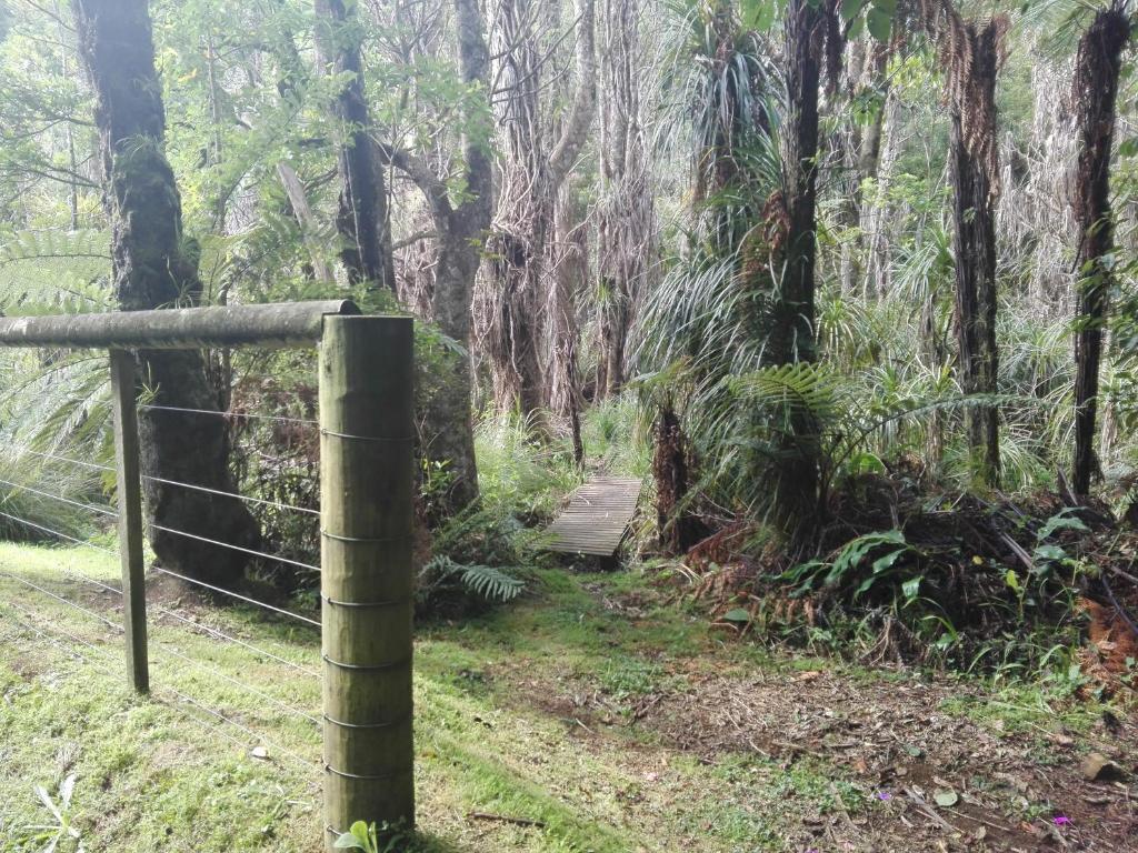 Taranaki Experience - Resim 23