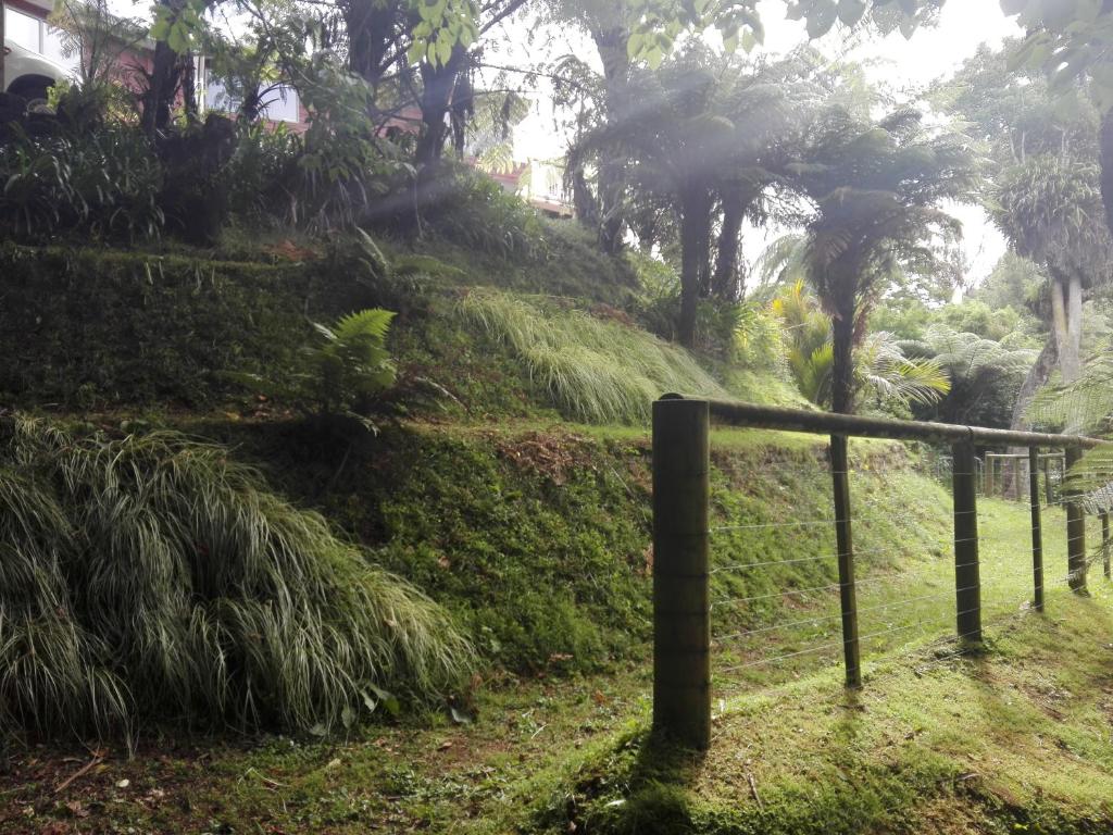 Taranaki Experience - Resim 24