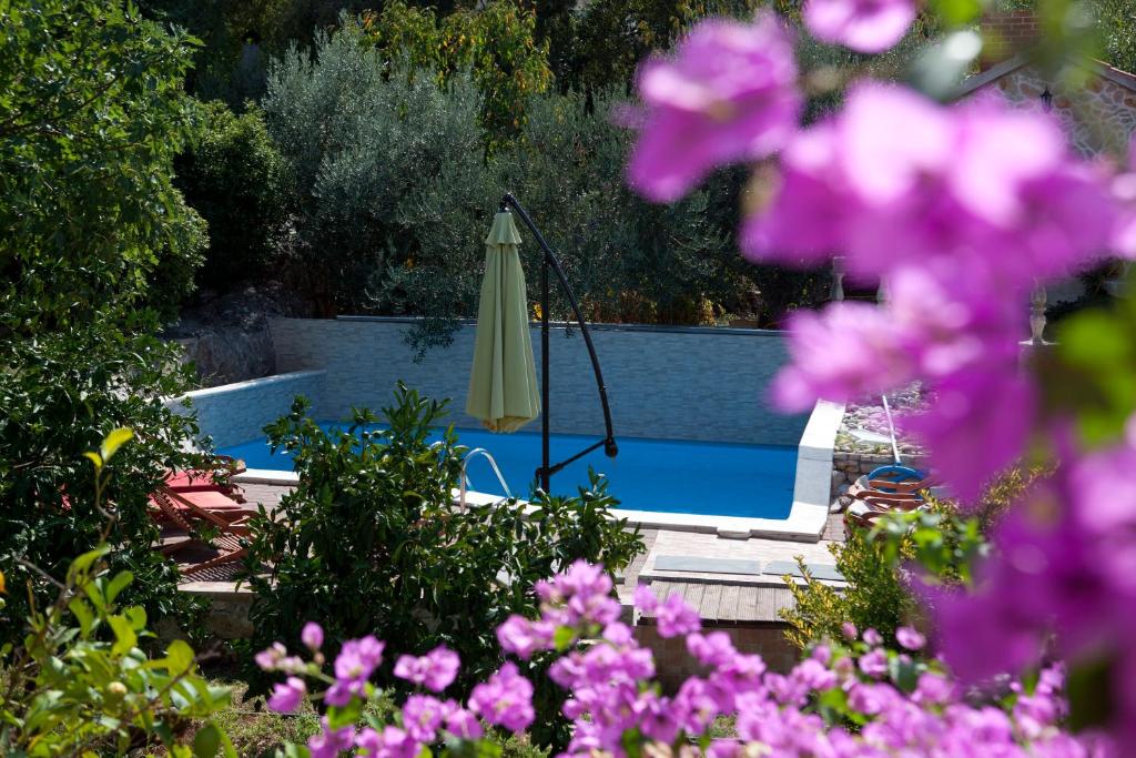 una piscina con sombrilla y algunas flores en Villa Donna, en Trogir