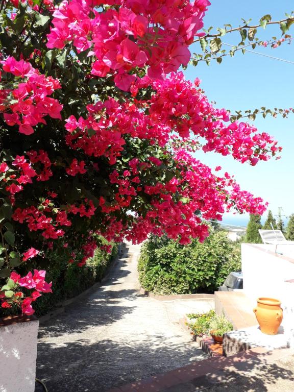 Antica casa vacanze gallura - Housity