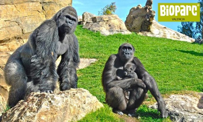 Bioparc Metro Valencia, Valencia – Precios actualizados 2023