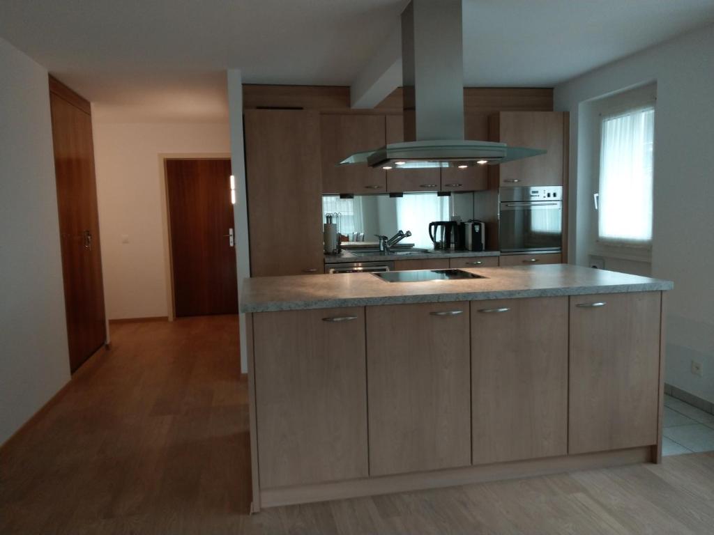Kuchyň nebo kuchyňský kout v ubytování Haus Viktoria C