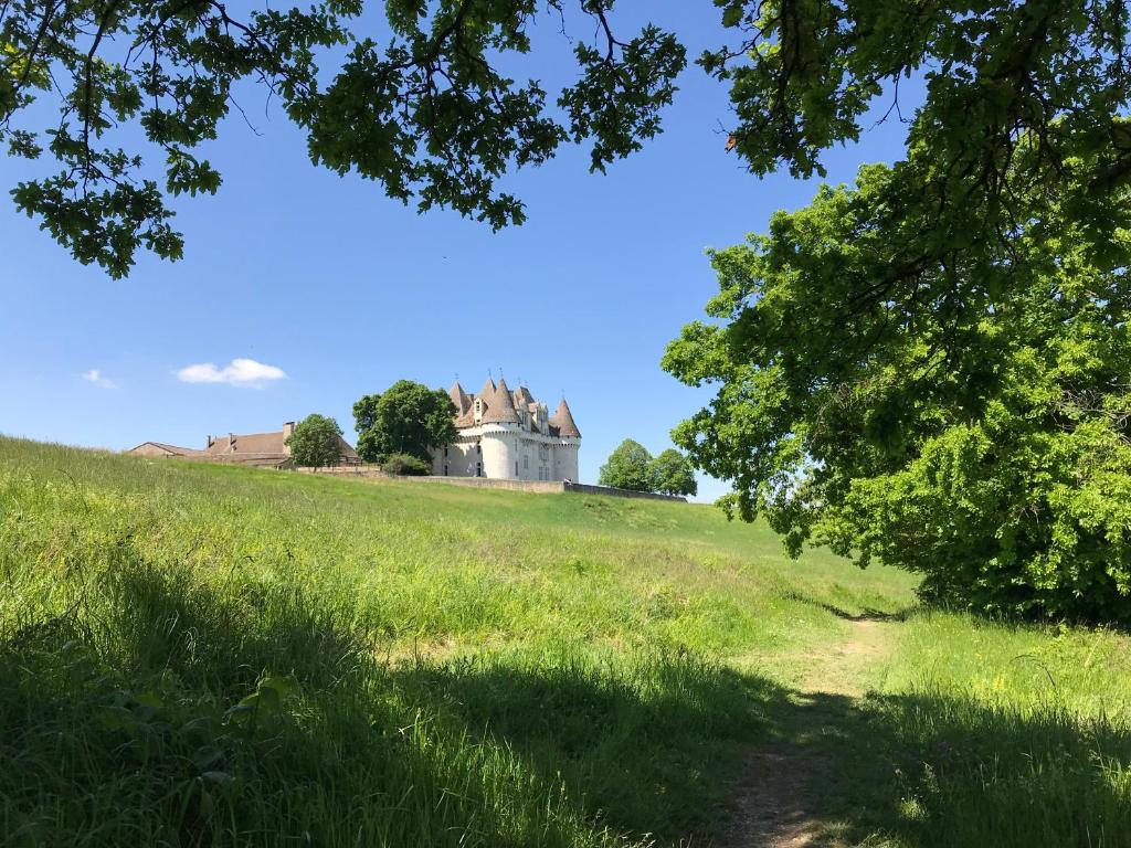 a castle on top of a grassy hill with a tree at Le gîte de l&#39;atelier in Bergerac