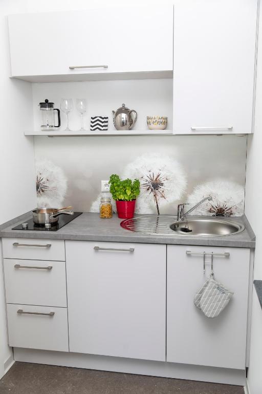 Kuchyň nebo kuchyňský kout v ubytování Appartements am Bauhaus