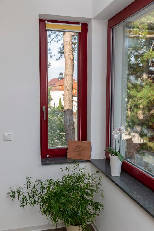 Zahrada ubytování Appartements am Bauhaus