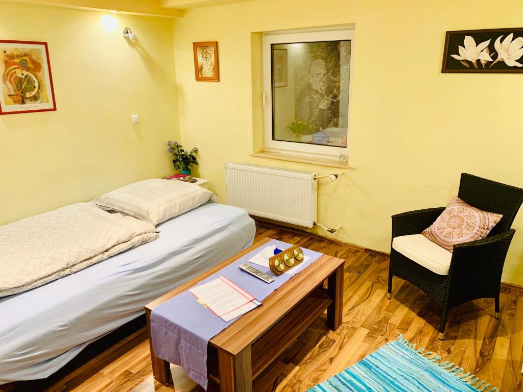 a room with a bed and a table and a chair at Idyllische und ruhig gelegene 1ZKB Wohnung in Ludwigshafen am Rhein in Ludwigshafen am Rhein