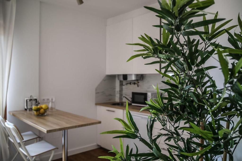 Apartamentos Dacosta - 16