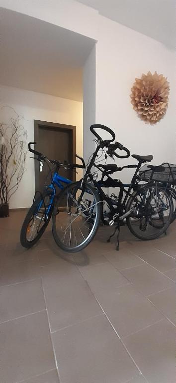 Jízda na kole v ubytování Apartmány Vila Singles nebo okolí