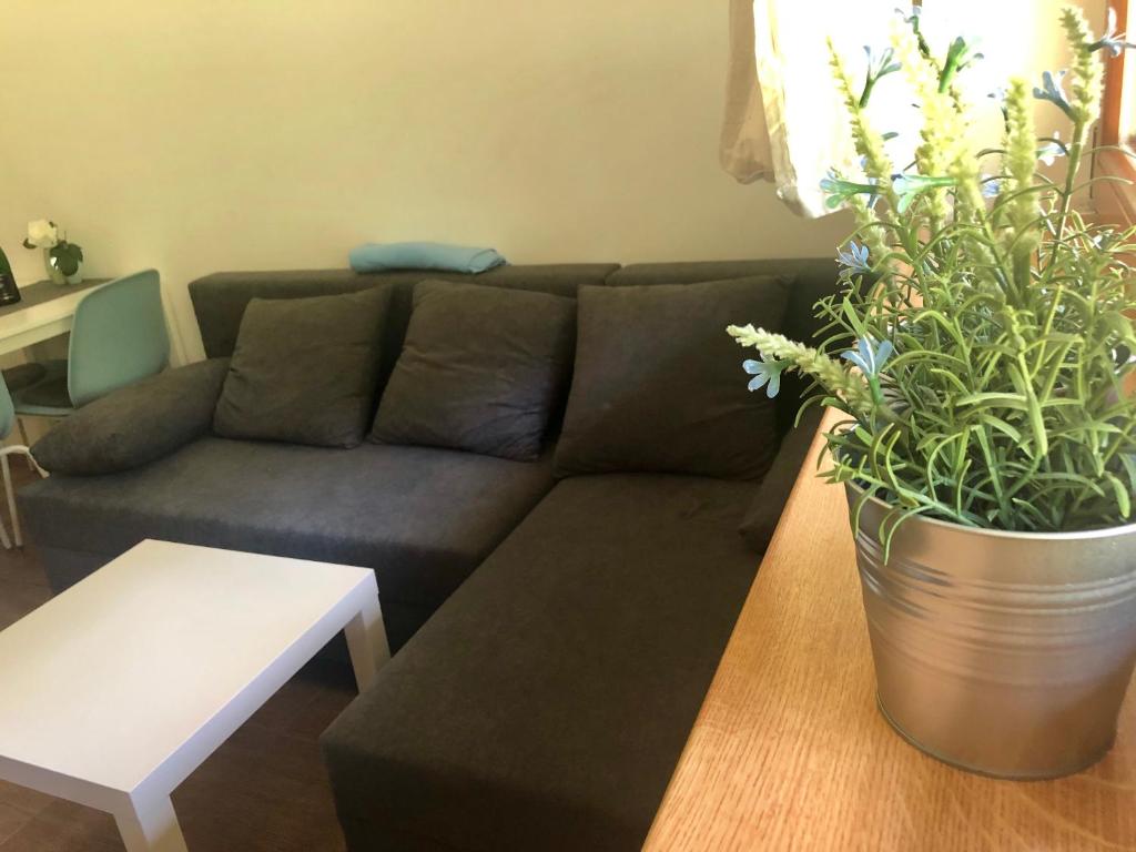 Posezení v ubytování Cihlářka - horský apartmán