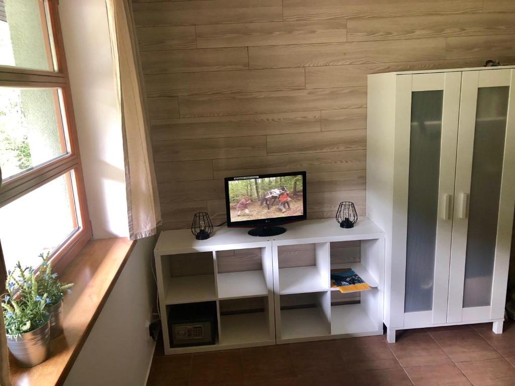 TV a/nebo společenská místnost v ubytování Cihlářka - horský apartmán