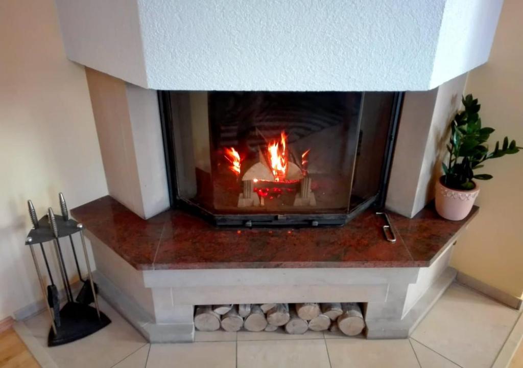 Apartment Villa Frank - 11