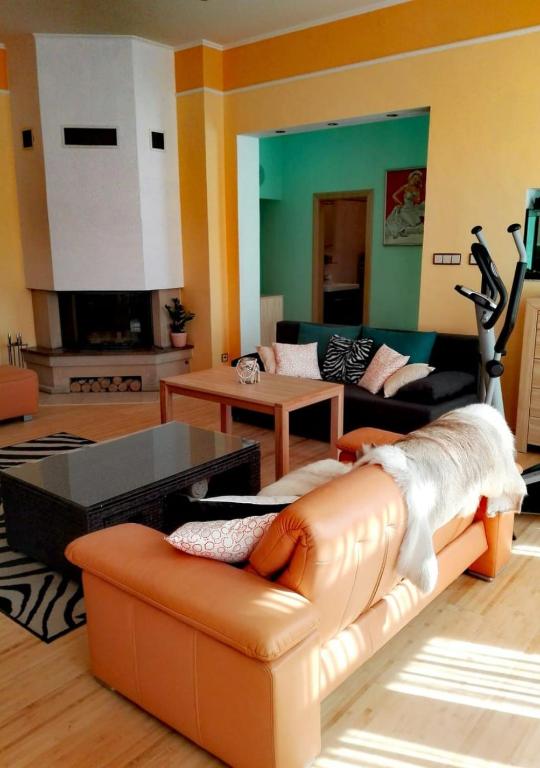 Apartment Villa Frank - 6