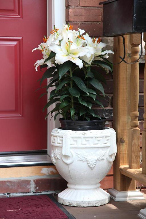 a white planter with white flowers in it next to a door at Ambiance By The Falls B&B in Niagara Falls