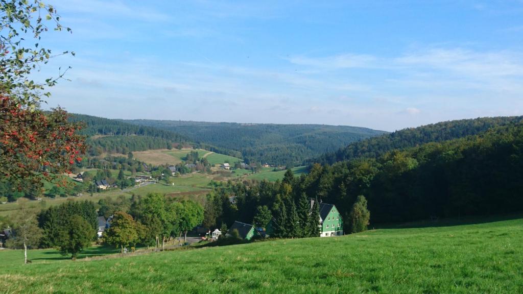 uma encosta verde com um campo verde e árvores em Gästehaus Meierbaude em Kurort Altenberg