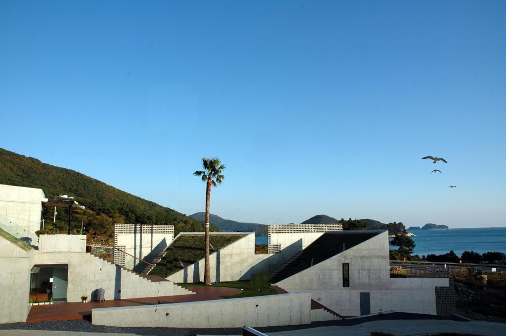 a building with a palm tree in front of the water at Tropical Dream Spa Resort in Geoje 