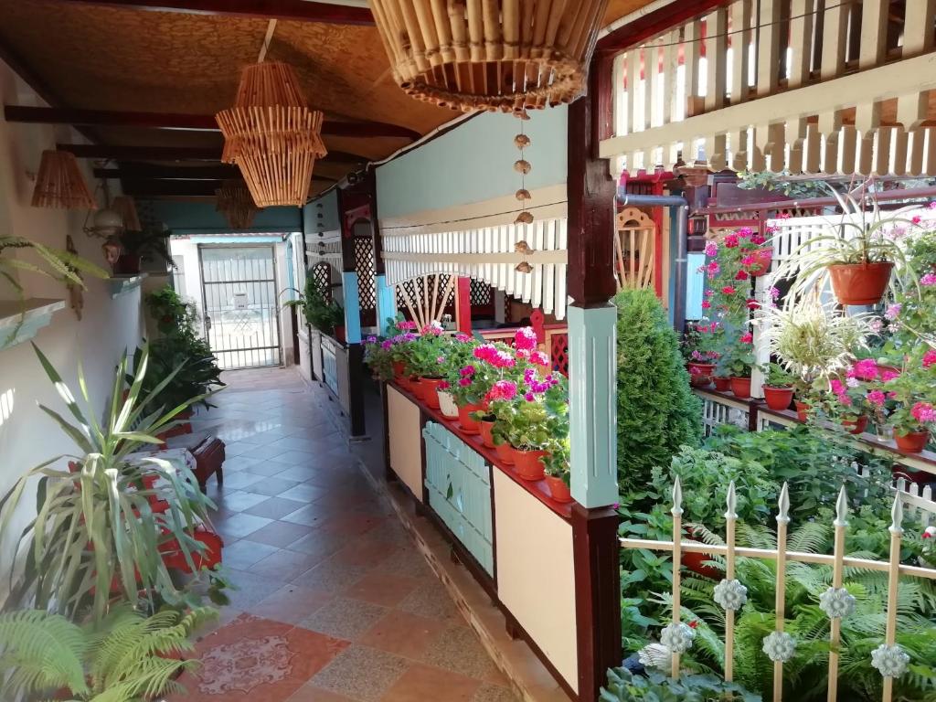 a garden shop with plants and flowers on display at Casa de vacanta Puiu in Sulina