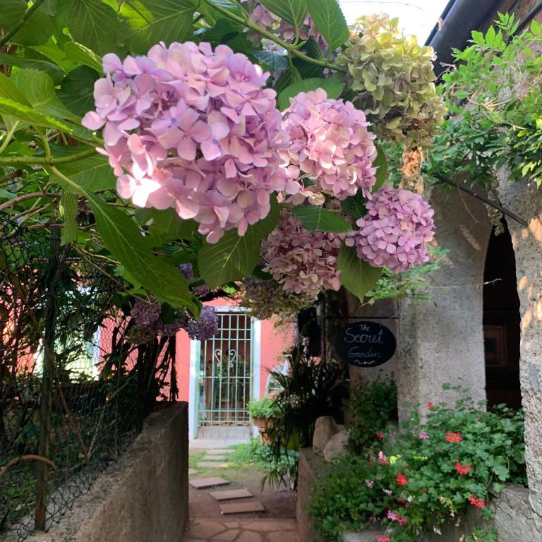 a bunch of flowers hanging from a building at Il Giardino Segreto Arona, Charming Apartments in Arona