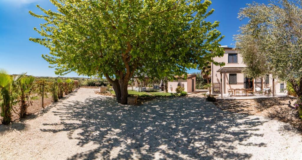 un arbre au milieu d'un chemin de terre dans l'établissement Country House il Gelso e l’Ulivo, à Noto