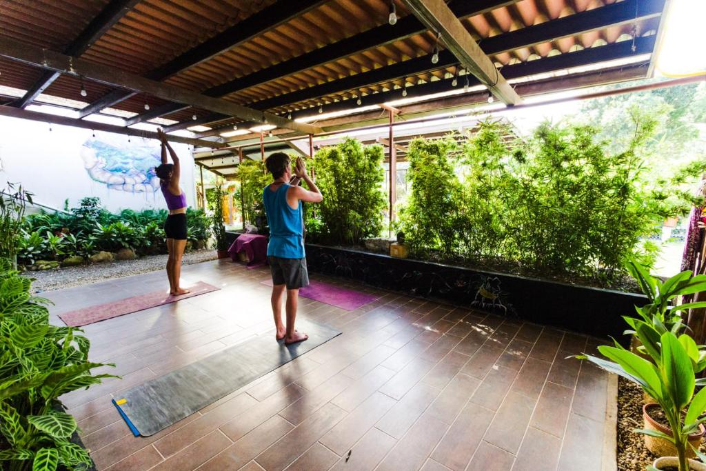 two men doing yoga in a room with plants at Bodhi Hostel & Lounge in Valle de Anton