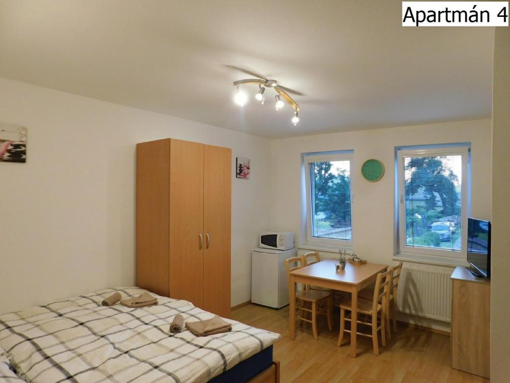 1 dormitorio con cama, escritorio y mesa en Apartmány Horní Planá en Horní Planá