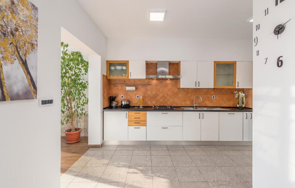 Kuchyň nebo kuchyňský kout v ubytování Apartments Vita
